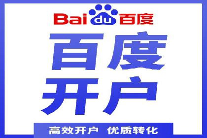 SEM推广实战：成功案例解读与策略调整